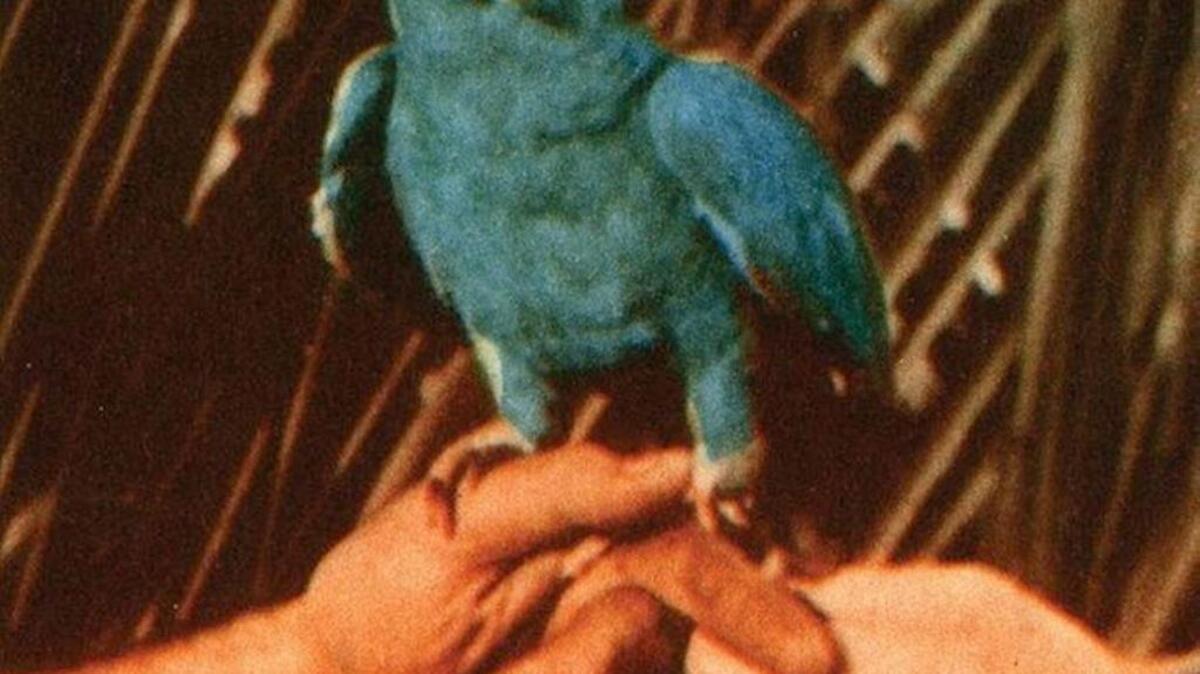 Andrew Bird’s Are You Serious