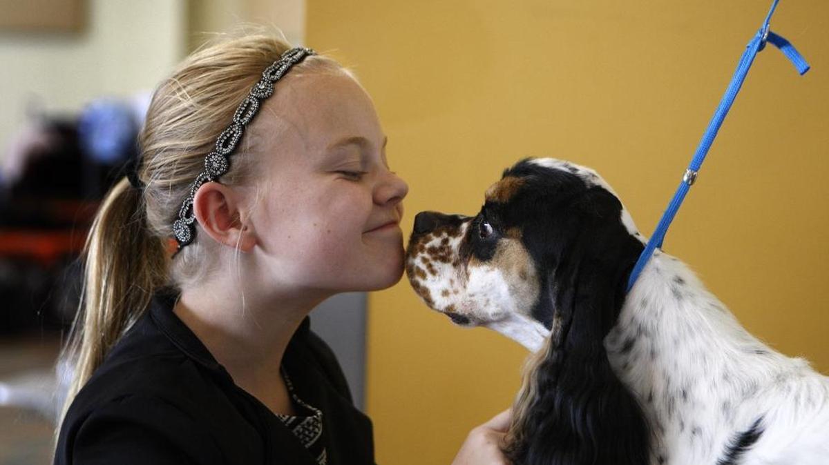 Erica Matherly, of Richland, Mich., nuzzled Prince, her American Cocker Spaniel, for showing at the Bluegrass Classic Dog Show in the Alltech Arena in Lexington in 2015. The 2017 dog show is Thursday to Monday.