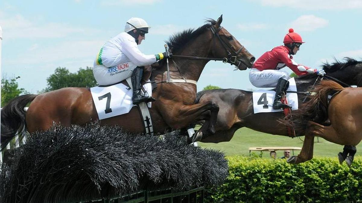 Artie’s Jasper, left, ridden by Robert Walsh, was near the back of the field at the first hurdle but won the third race at the 2014 High Hope Steeplechase.