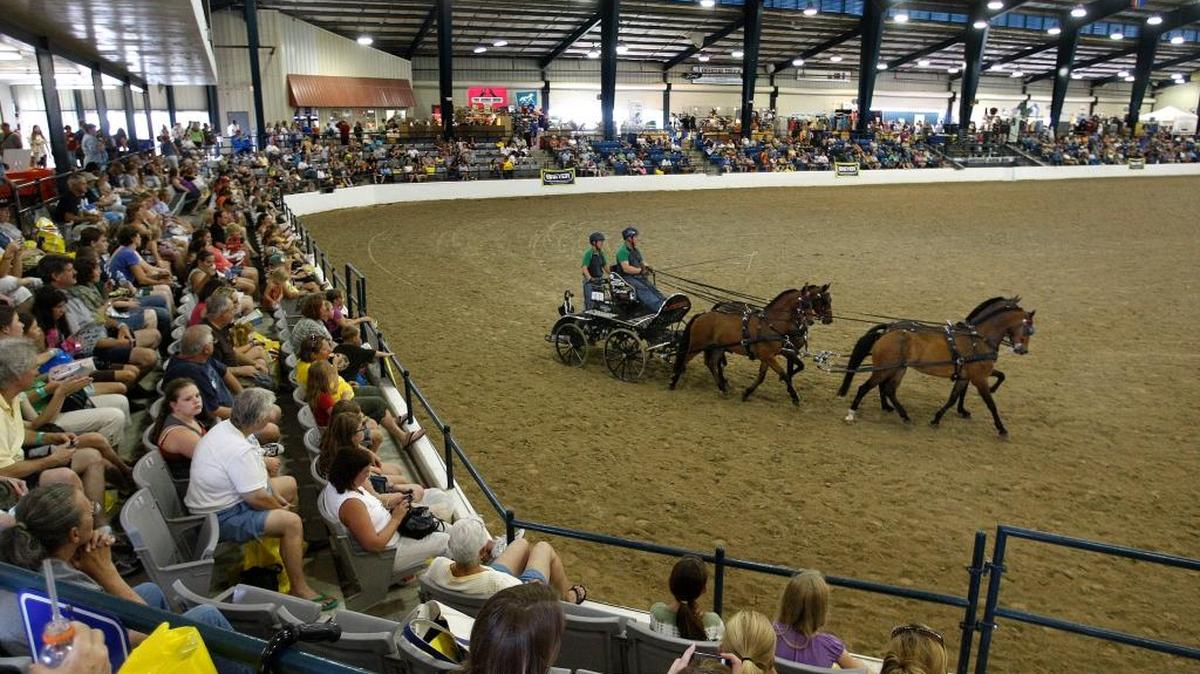 A large crowd watched carriage driving exhibited in the indoor arena during Breyerfest at the Kentucky Horse Park in Lexington in 2011.
