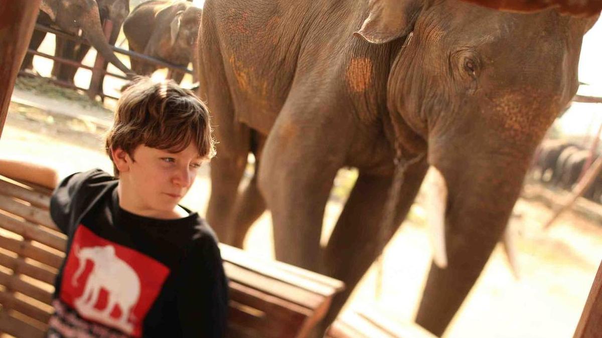 I Am Eleven , a film about 11-year-olds around the world, will be shown Saturday.