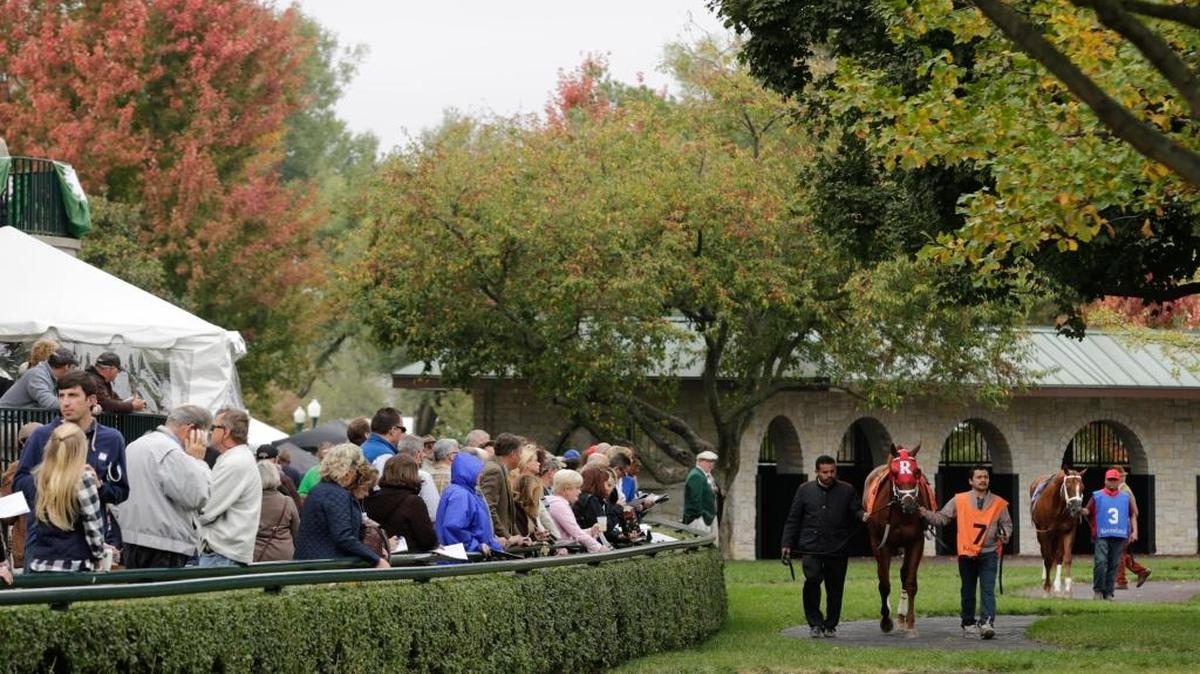 Fans gathered at the paddock before the start of the fourth race at Keeneland Race Course on Oct. 27, 2016.