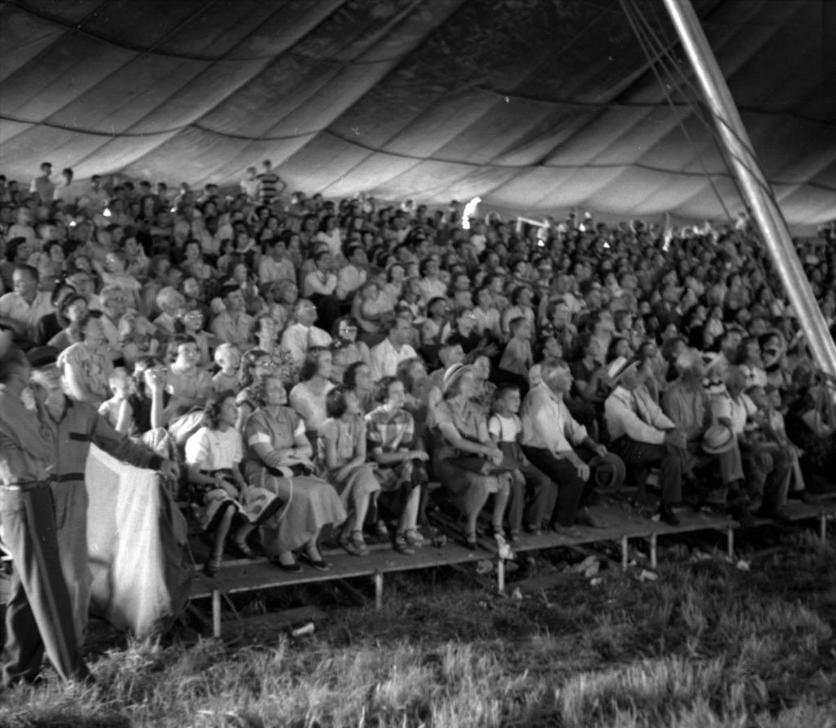 Spectators under the big top during a July 27, 1950 Ringling Bros. and Barnum & Bailey circus performance in Lexington. The circus was in town for a one-day, two-performance stand at the show grounds on Newtown Pike.