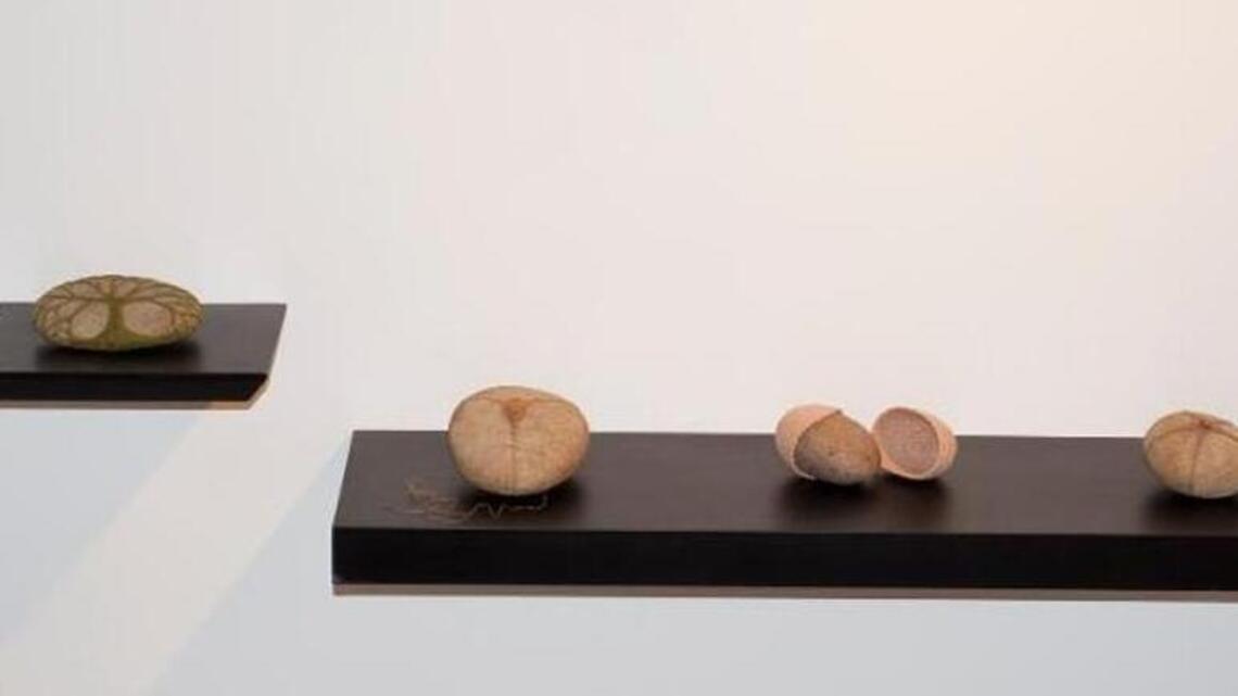 Lexington Gallery Hop shakes off winter chill