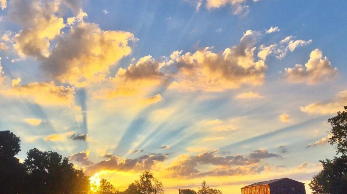 From app to art: Instagram photographers featured in exhibit