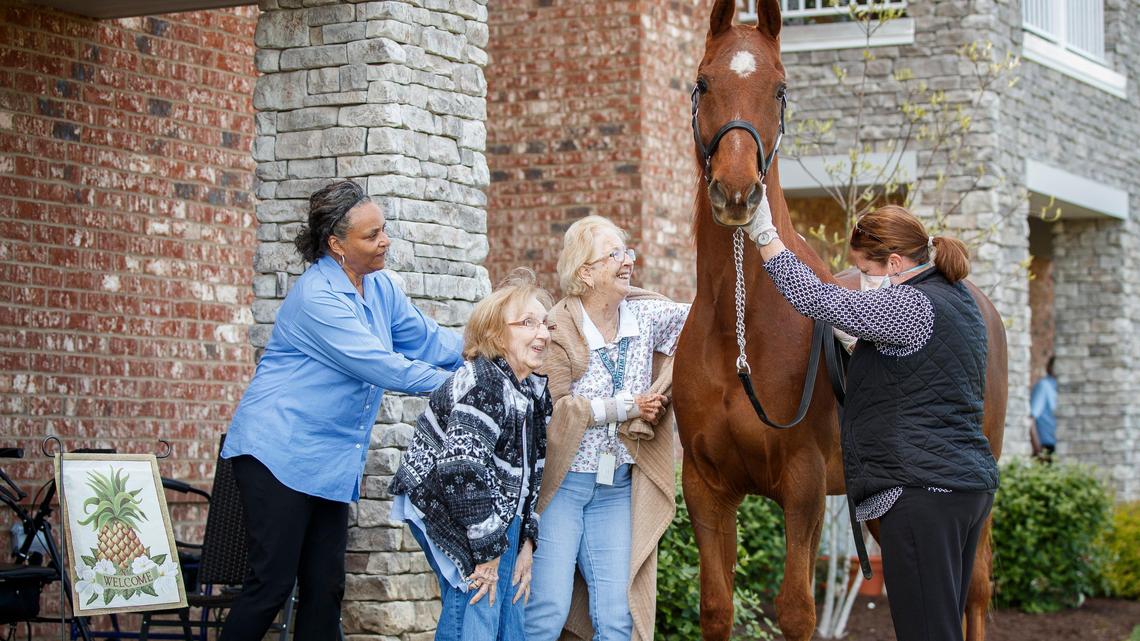 Blue ribbons for Reggie and Grace: Horses provide welcome break at senior living facility