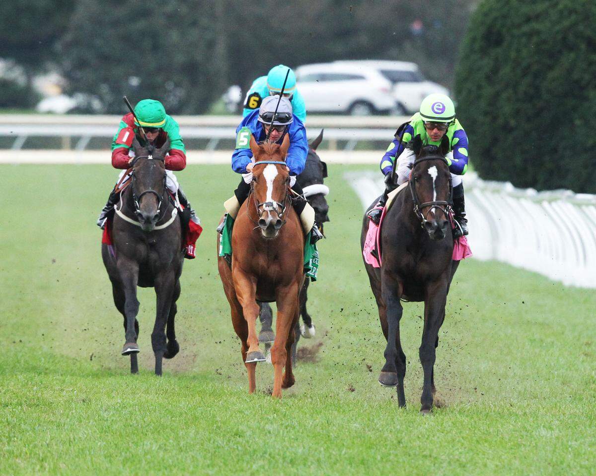 Rushing Fall (right) won the $500,000, Grade I Queen Elizabeth II Challenge Cup at Keeneland on Saturday ahead of second-place Mission Impassible (middle) and third-place Nyaleti (left).