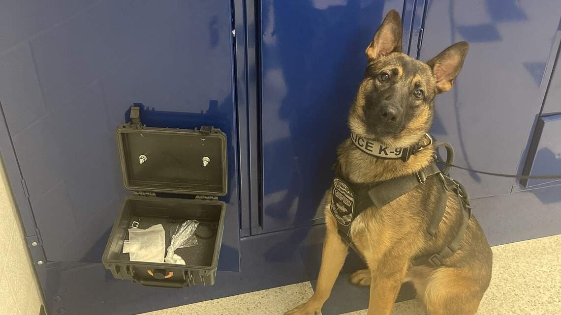 Georgetown police ask for ‘grace and understanding’ after incident involving police dog