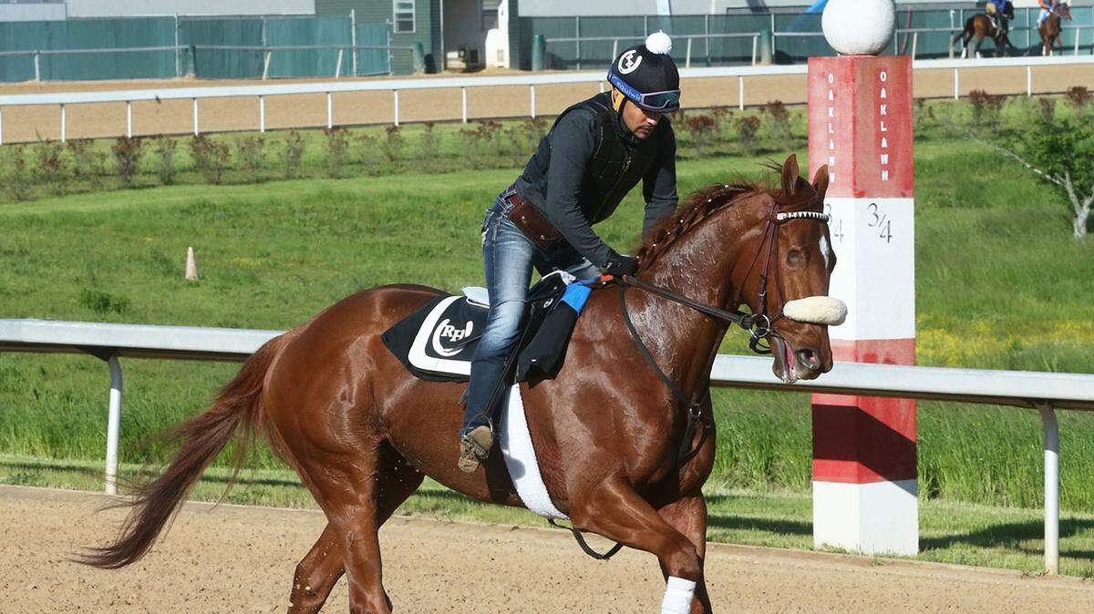 One-eyed gelding Finnick the Fierce is latest Derby defection. Race now has 16 horses.