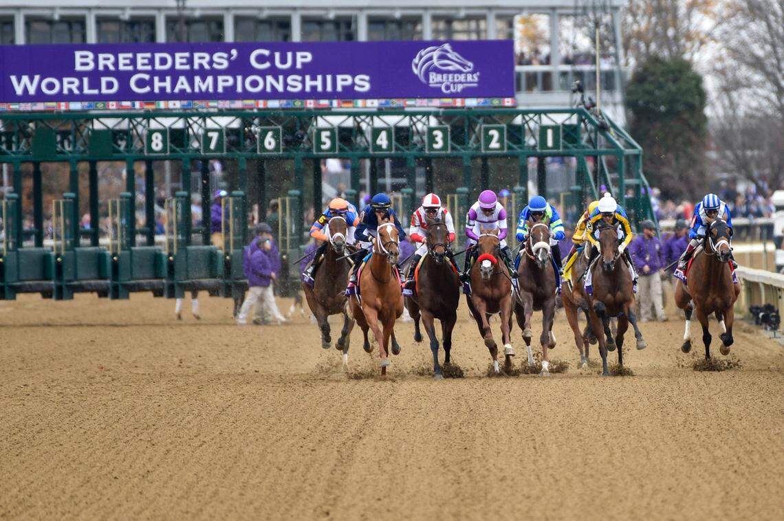 Malathaat, far right, got away slowly but gained momentum on the way to a win at the wire.