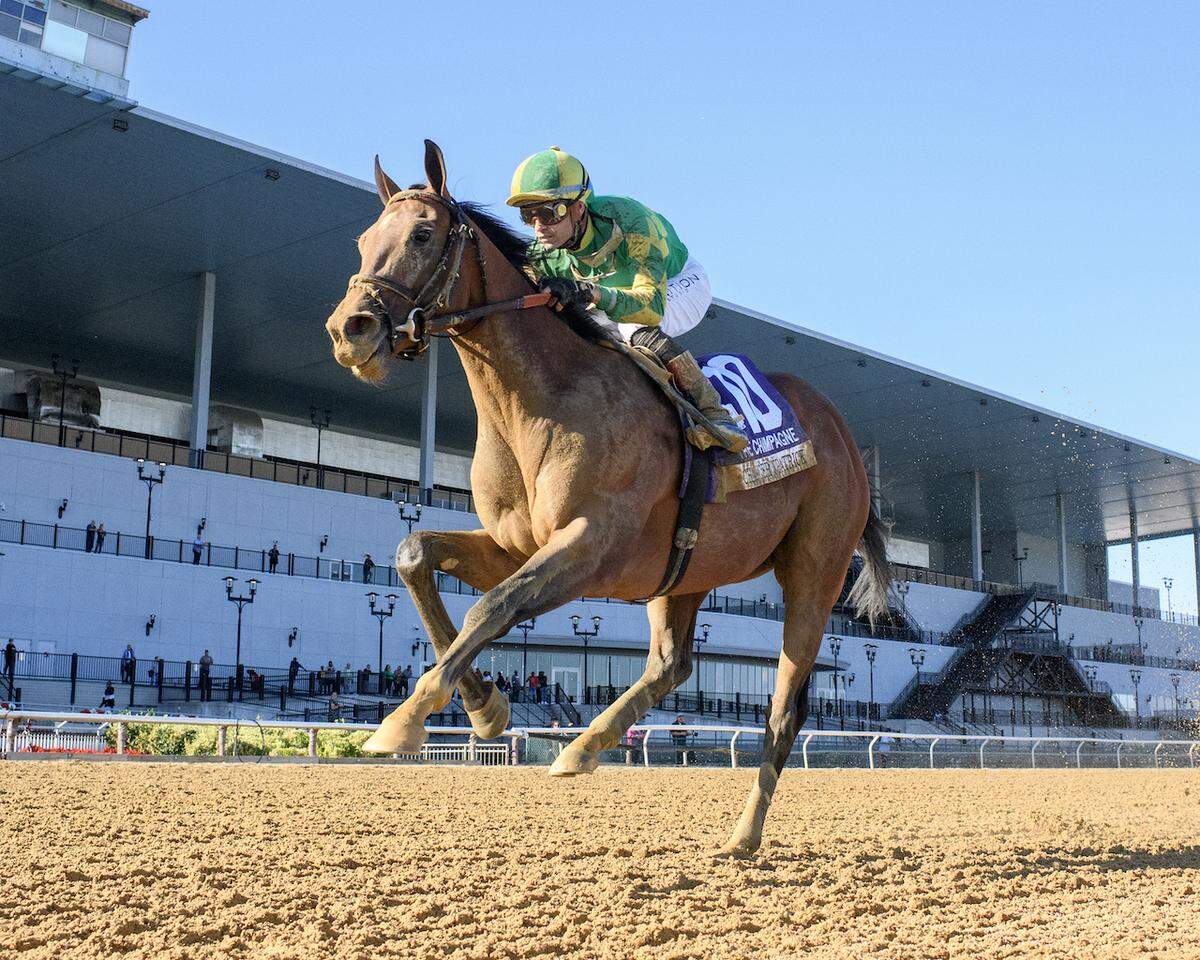 Chancer McPatrick won two Grade 1 races as a 2-year-old but has had little success since. The Blue Grass Stakes offers an opportunity to remind the racing world of his talent.