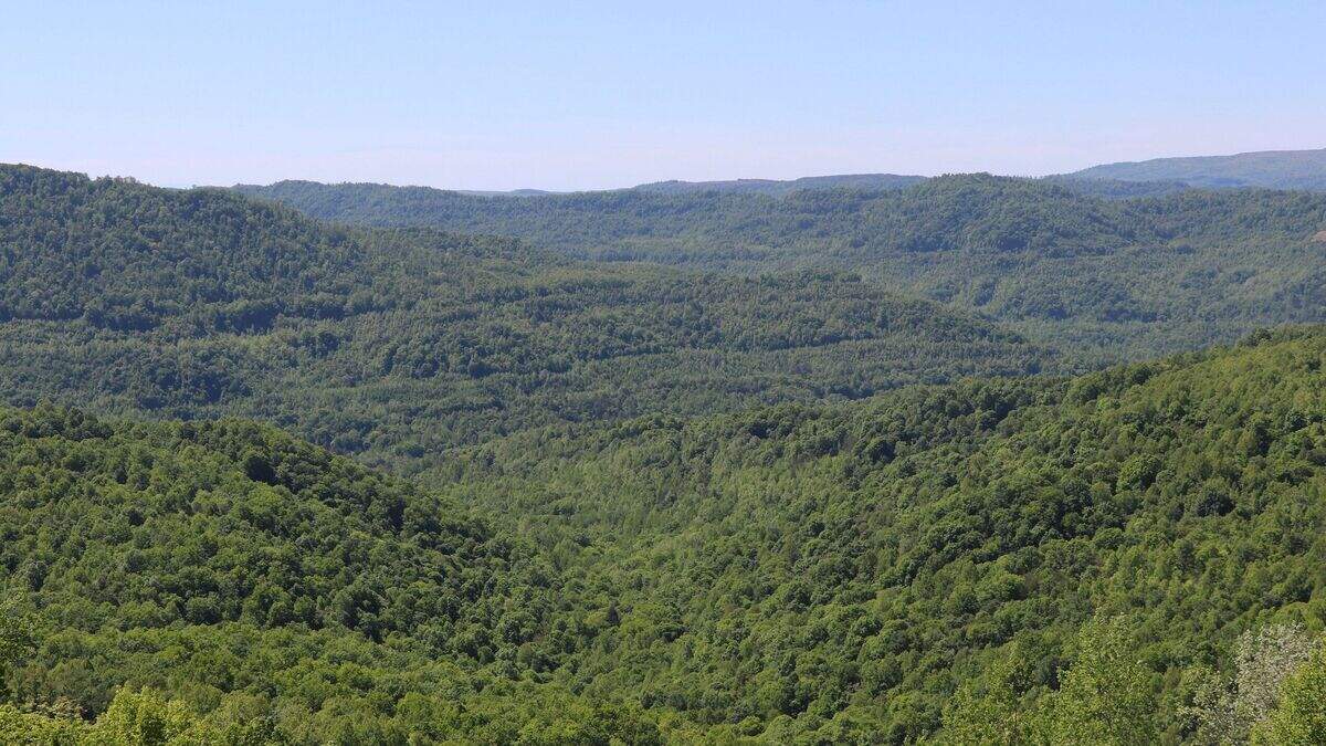 Over 1,700-acres in the iconic Cumberland-Pine Mountain area of eastern Kentucky are now protected for wildlife and public access opportunities.