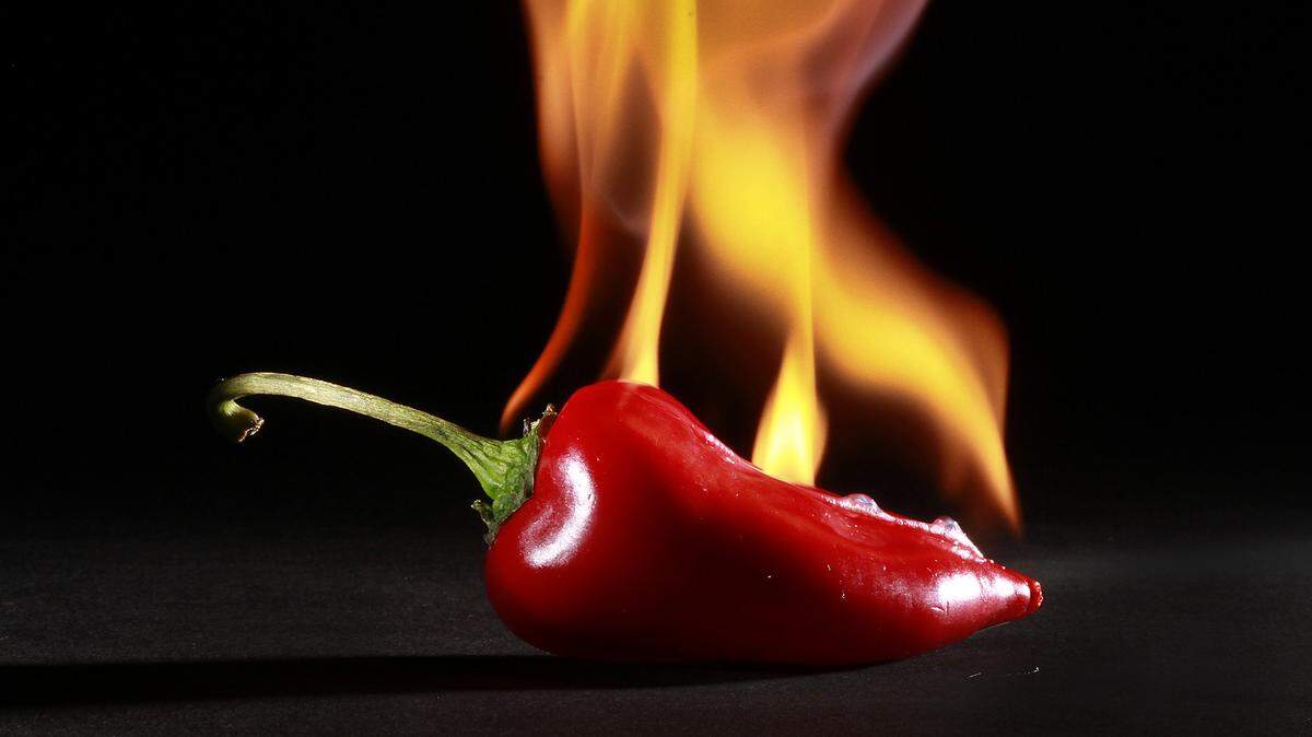 FOOD DIY-HOTSAUCE 6 LA