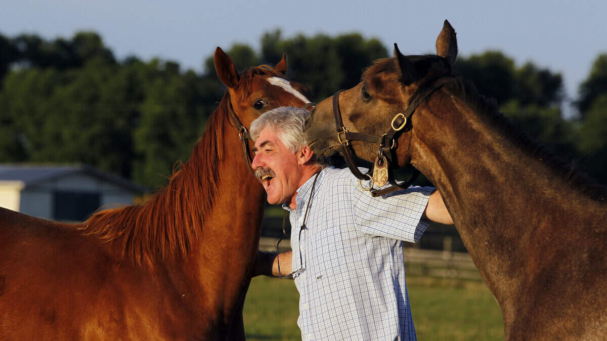 Martin O'Dowd, general manager and vice president of Runnymede Farm, held two yearling fillies at sunrise at the 145-year-old Paris farm.