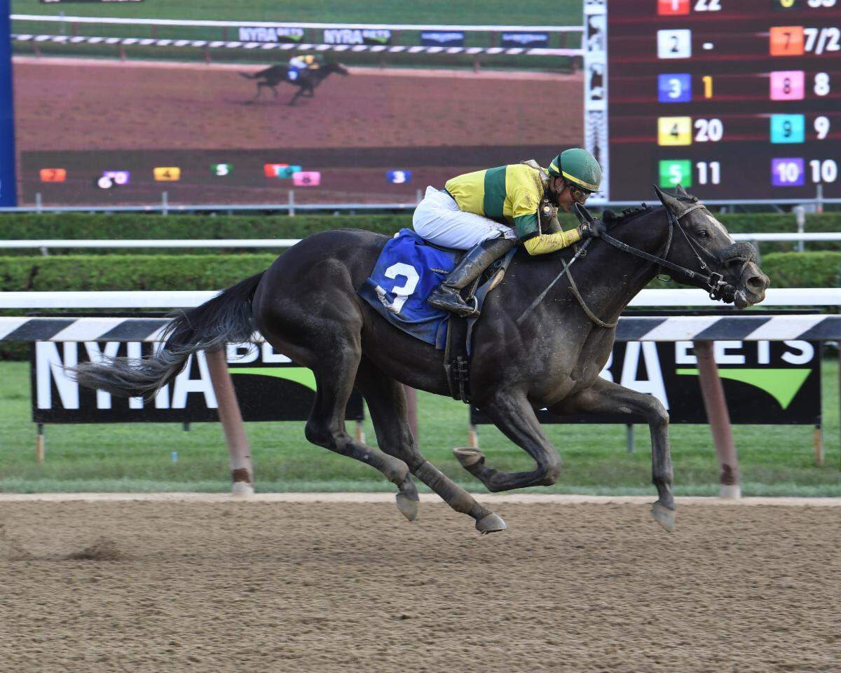 Three Technique earned his first career victory on Aug. 31, 2019, at Saratoga under Jose Ortiz. The 3-year-old has finished first or second in all five of his career races.