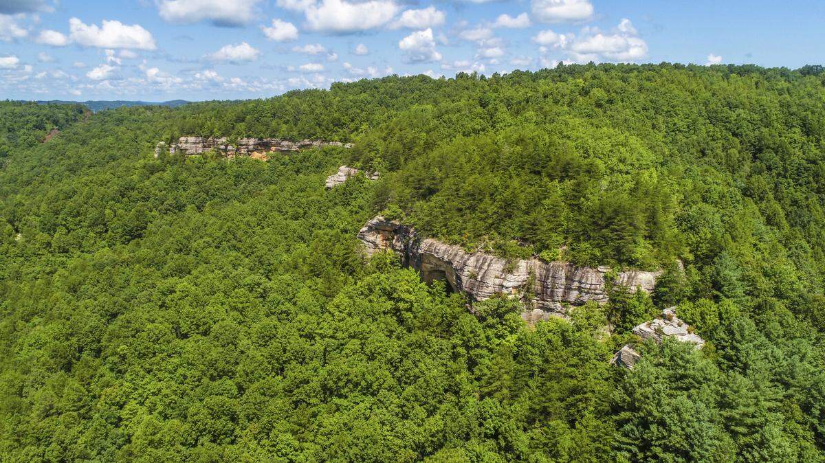 The Big South Fork National River and Recreation Area includes cliffs, rock arches and rock shelters. The National Park Service site logged nearly 840,000 recreation visitors in 2021.