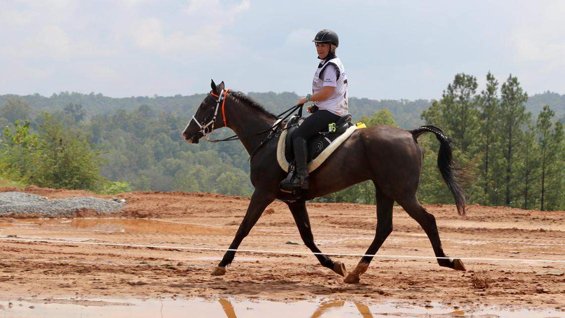 Jenny Champion of Team New Zealand rode in the Endurance Championship at the FEI World Equestrian Games Tryon 2018.  Her mount, Barack Obama, was euthanized Thursday after suffering kidney problems.