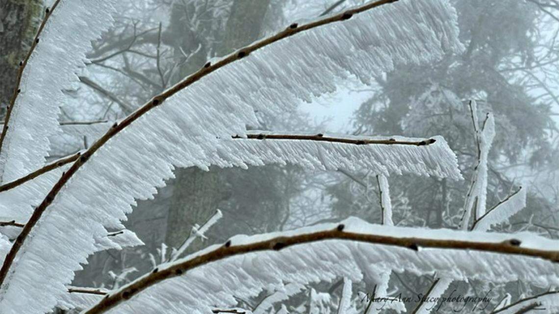 ‘This is the real deal.’ Beshear says ice could rival past storms, warns of power outages
