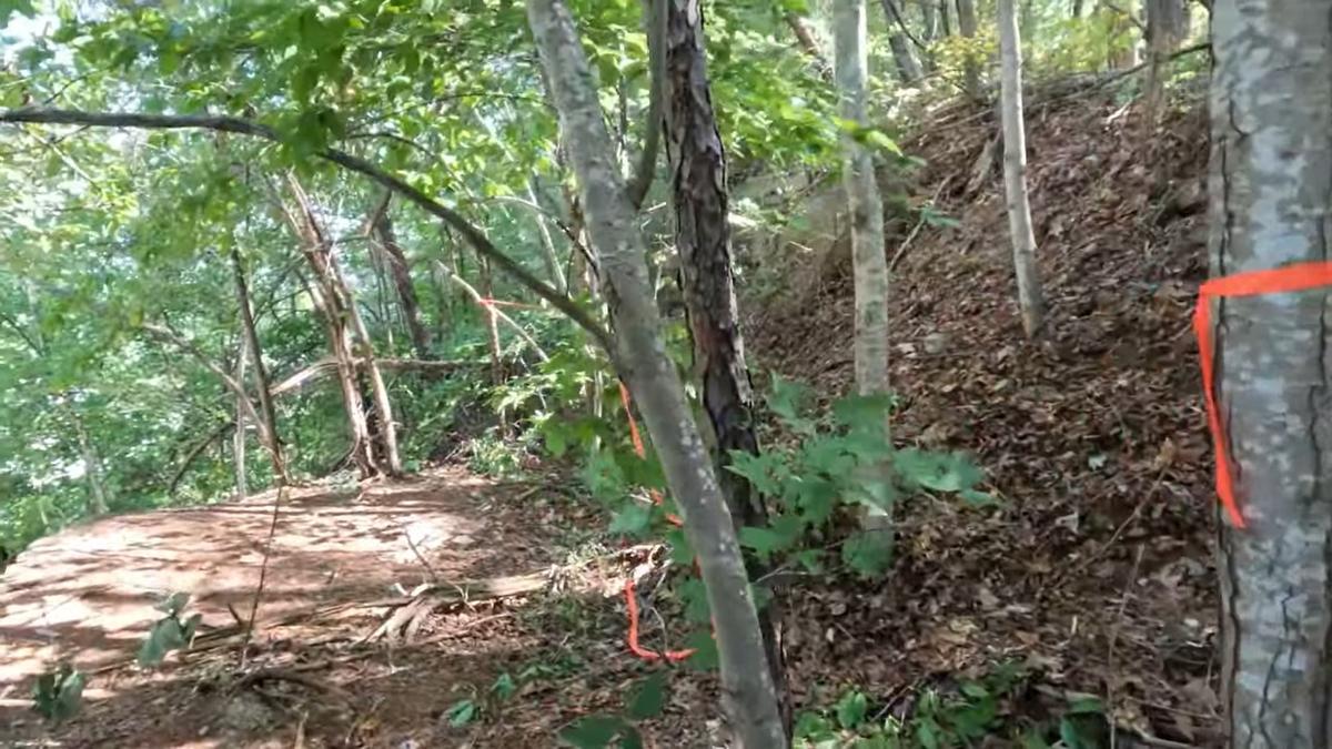 Torn red tape surrounds the forest scene where where Fred and Sheila McCoy say Joseph Couch fired on 12 vehicles Sept. 7, 2024. The image is from their YouTube page and was taken a day before the couple found Couch’s body. “This is the crime scene that Sheila is filming right now, this is it” said Fred, followed by a “Wow” from his wife.