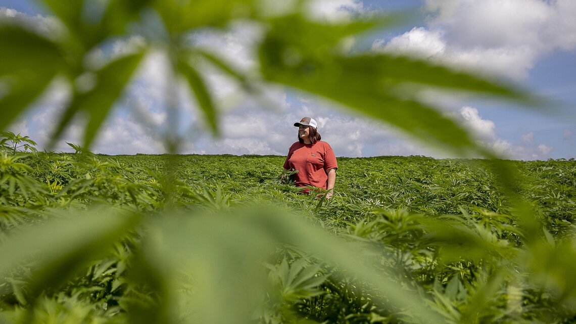 A ‘revolution.’ Meet the 1st Kentucky farmer expected to grow hemp for this global brand.