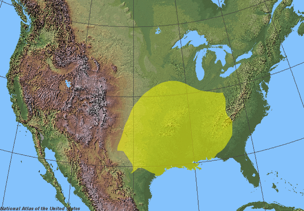 The range of the loxosceles reclusa, commonly called the brown recluse spider, include Kentucky.