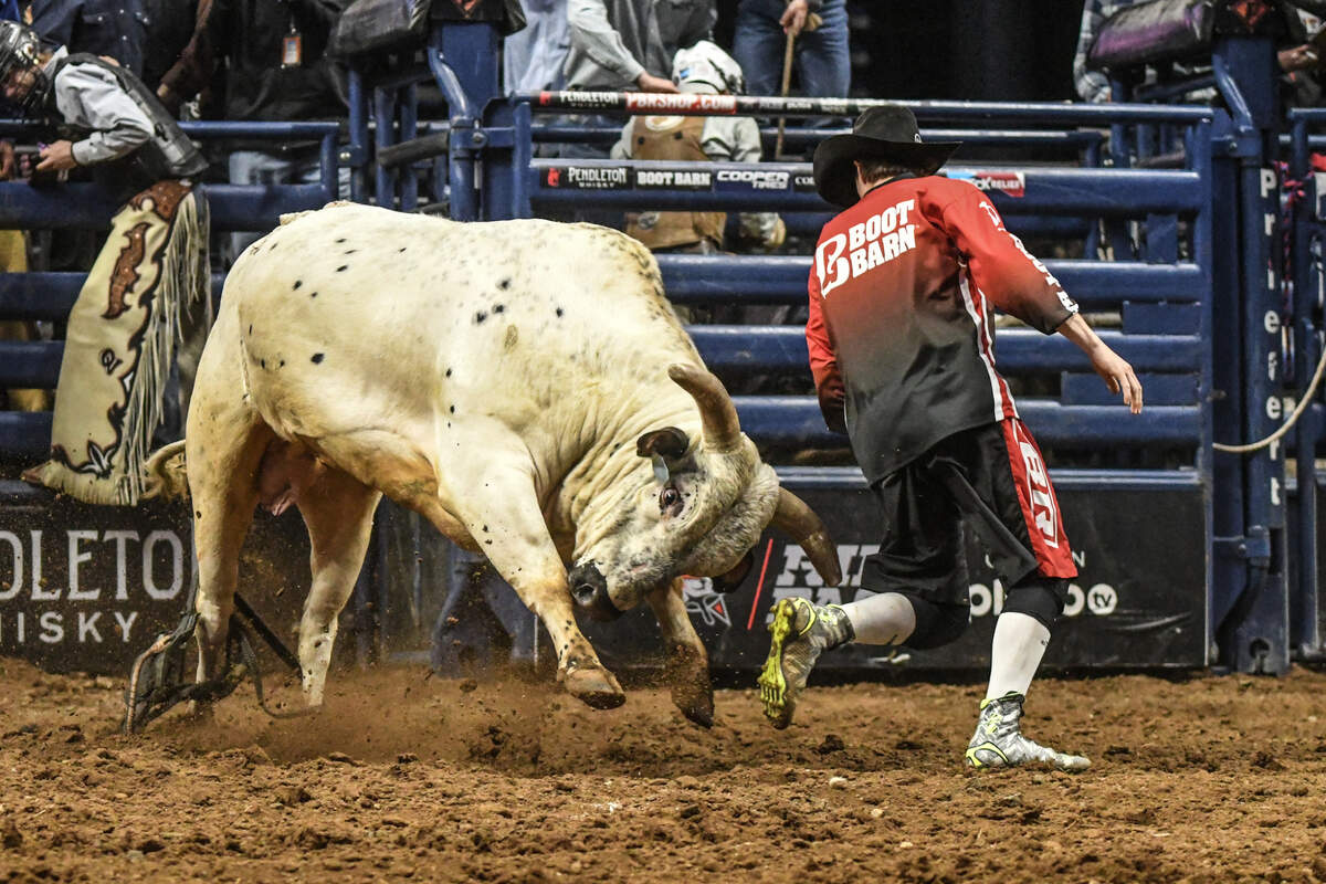 The Professional Bull Riders’ (PBR) Pendleton Whisky Velocity Tour returns to Rupp Arena with the PBR Lexington Invitational.