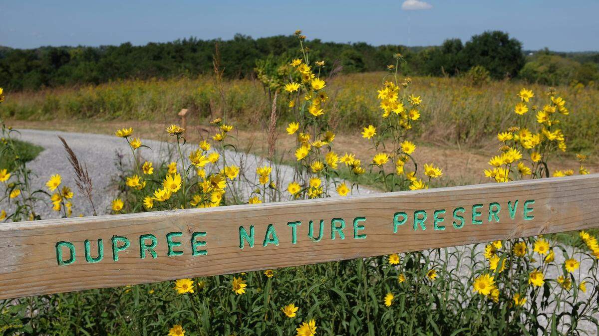 The 300-acre Dupree Nature Preserve along the Kentucky River palisades in Central Kentucky. Photo by Tom Eblen | teblen@herald-leader.com