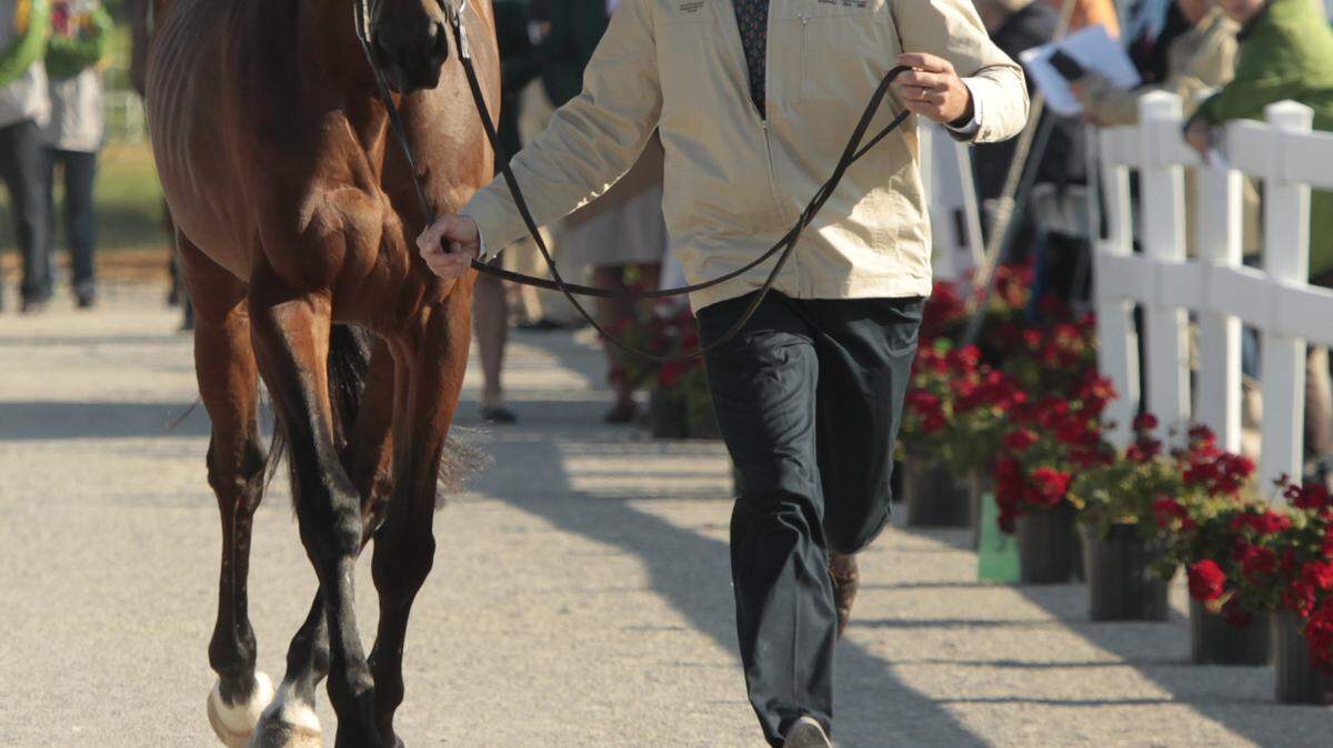 100929WEGSS-eventingPA			

