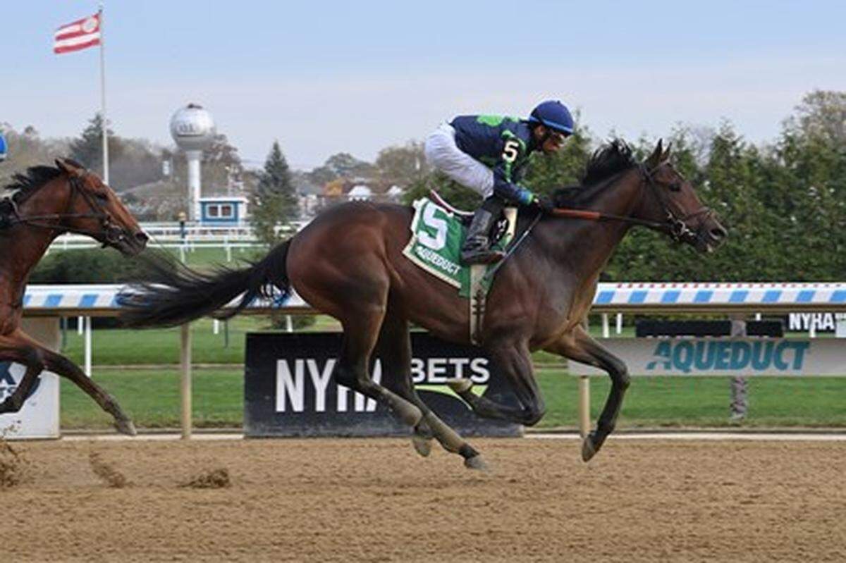 Sierra Leone is the 2-1 morning-line favorite for Saturday’s 100th running of the Toyota Blue Grass Stakes at Keeneland.