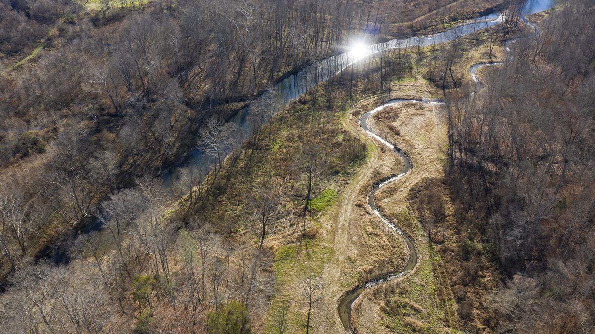 The Nature Conservancy led a project to restore this stream in Pulaski County that flows into Buck Creek, at left, to improve water quality in both.