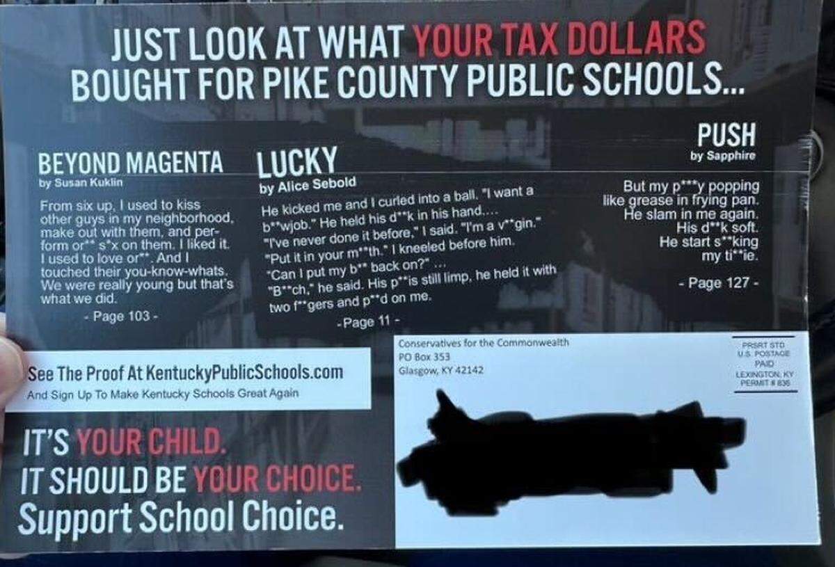 A political mailer paid for by Conservatives for the Commonwealth PAC singles out Pike County Public Schools.
