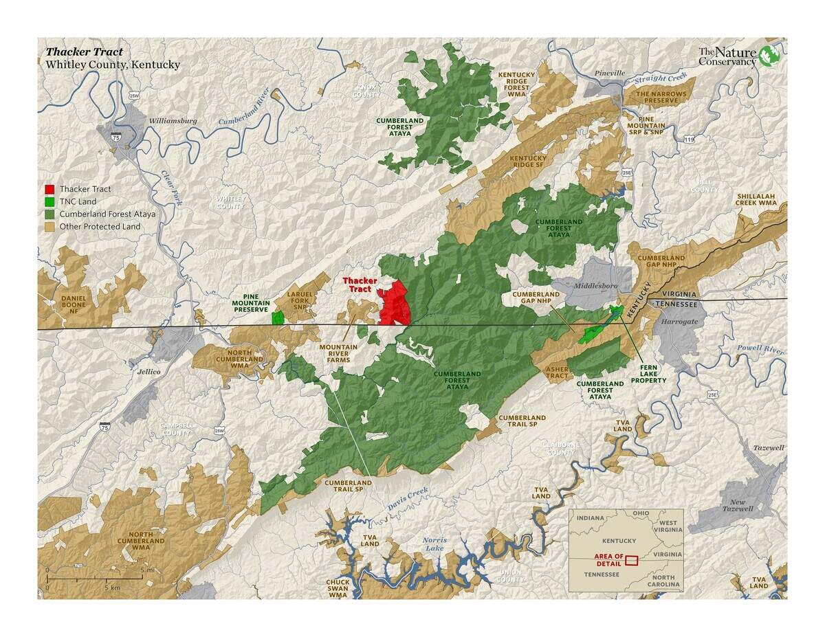 A map of the Thacker tract in Whitely County.