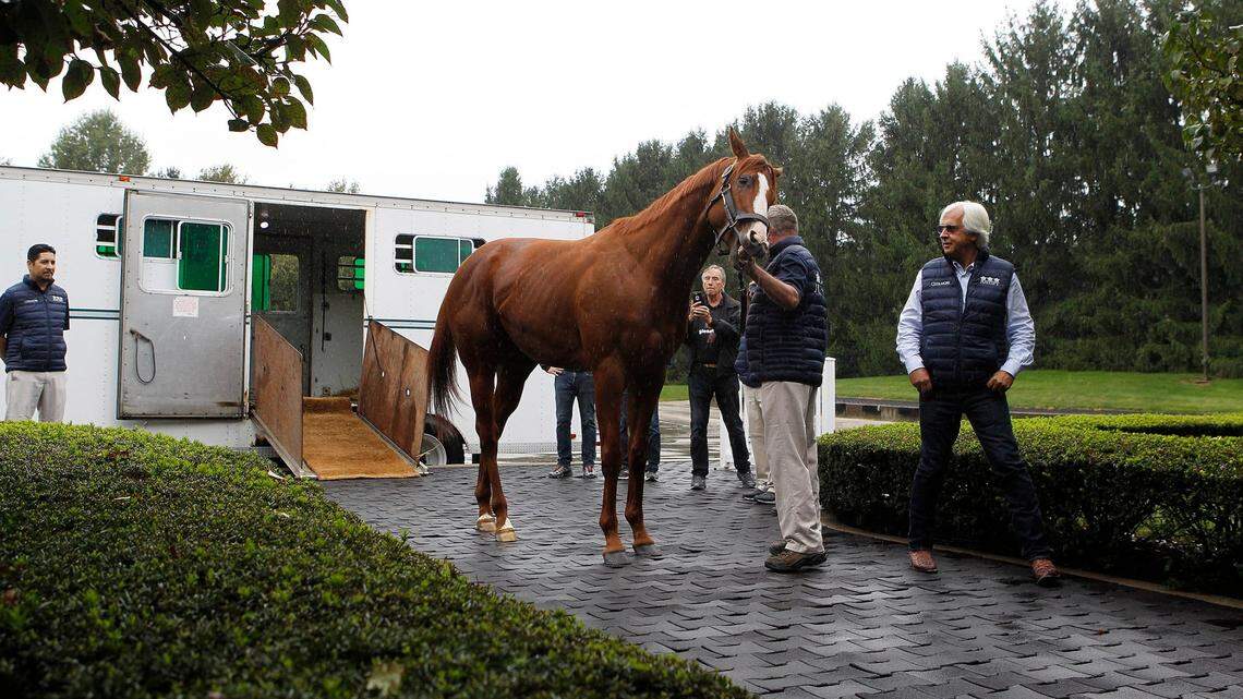 Three stallions have sired multiple contenders for 2023 Kentucky Derby. Meet the fathers.