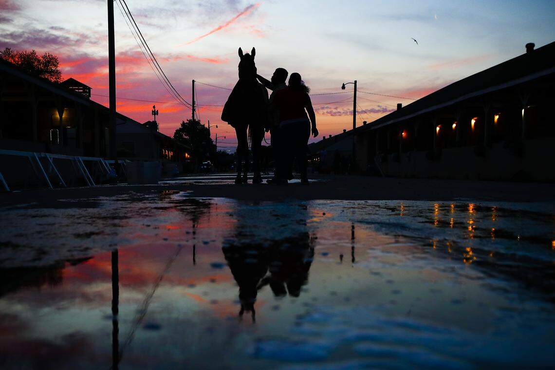A horse is bathed as the sun rises at Churchill Downs in Louisville, Ky., Wednesday, May 1, 2019.