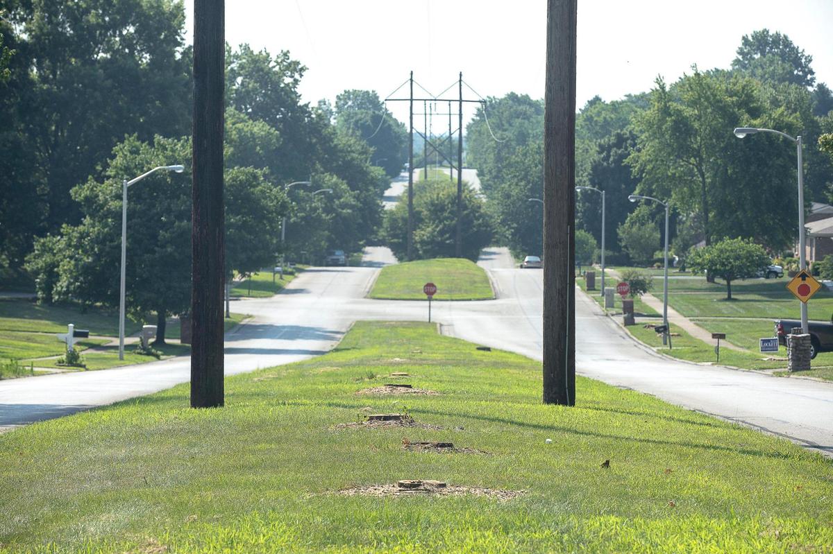 Tree stumps were left in a median along Southpoint Drive near Nicholasville Road in Lexington in 2020 after clear-cutting.