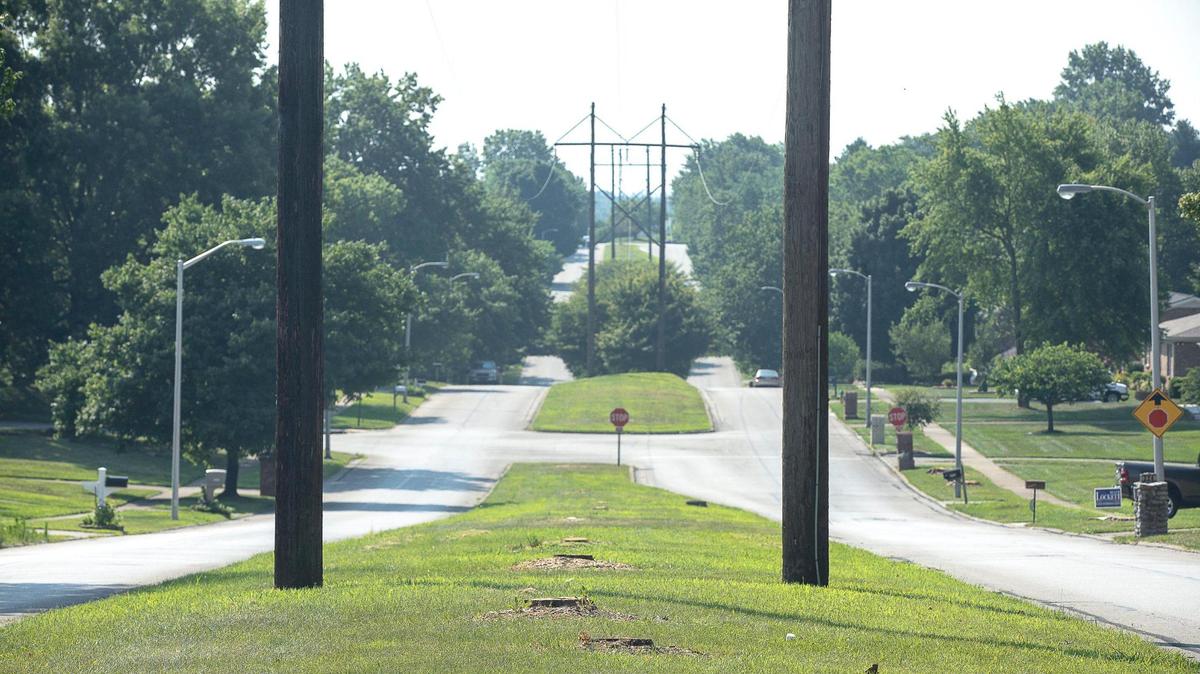 Tree stumps in a median along Southpoint Drive near Nicholasville Road in Lexington, Ky., are photographed Monday, July 20, 2020. Kentucky Utilities is cutting all trees that grow more than 10 feet under power transmission lines.