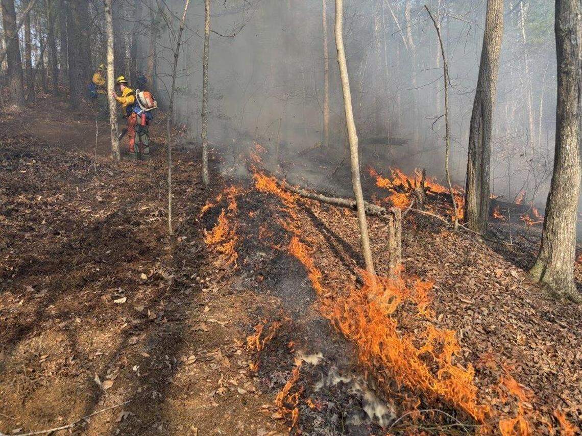Kentucky Division of Forestry wildland firefighting crews battle a forest fire near Hazel Green in Wolfe County on March 14, 2026.
