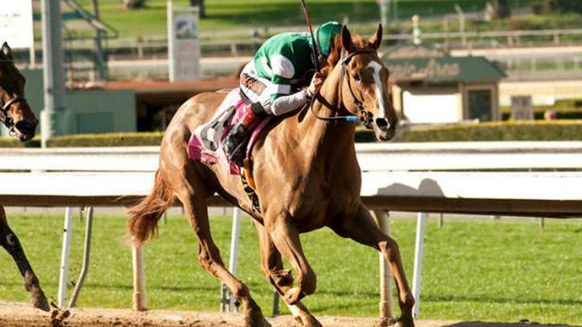 Stellar Wind won the Grade III Santa Ysabel Stakes at Santa Anita Park on Feb. 28 with Victor Espinoza aboard. (Santa Anita/Benoit Photo)