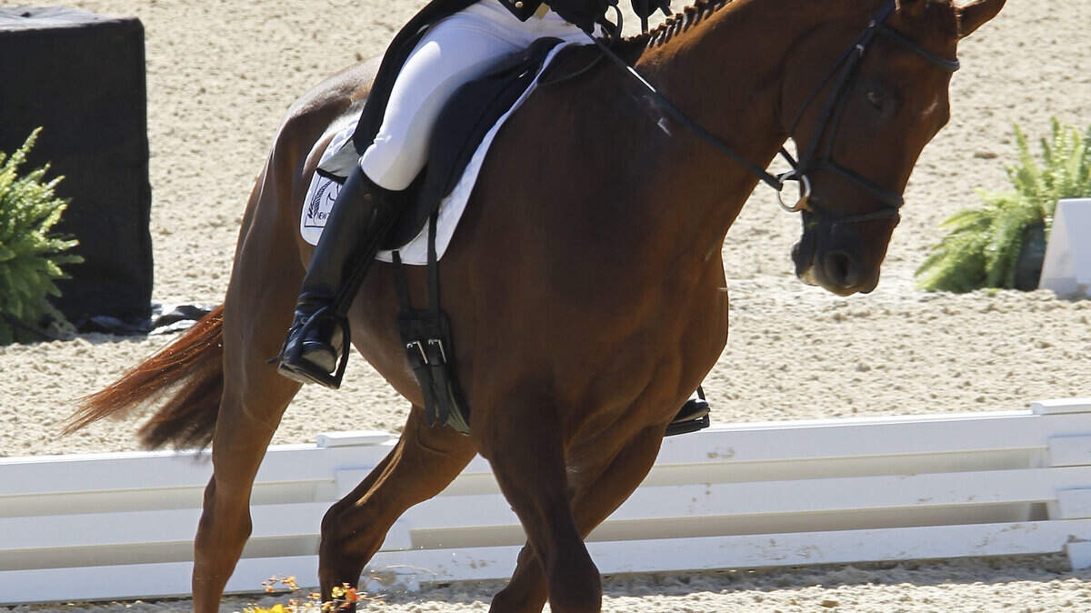 WEG-EVENTING