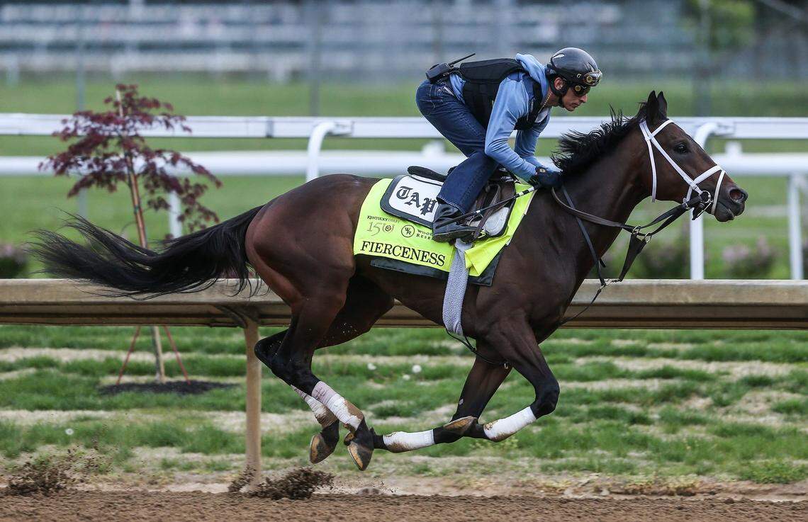 Last year, Fierceness became only the 11th Kentucky Derby favorite to finish worse than 12th in the race since 1908.