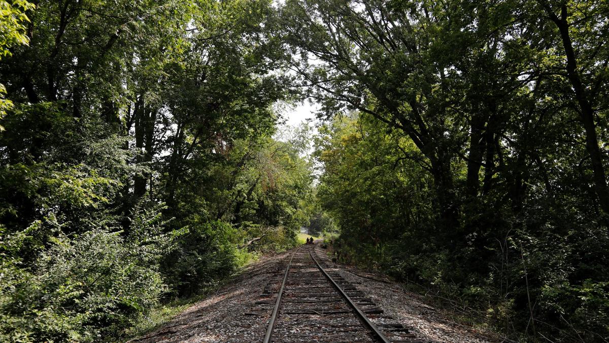 Visitors riding “Rail Explorers” pedal over train tracks on Friday, Aug. 4, 2023 at the Bluegrass Scenic Railroad and Museum in Versailles, Ky.