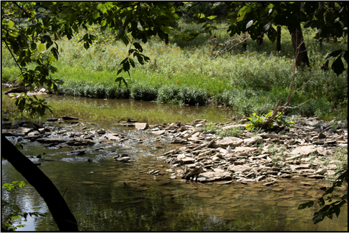 The state added its first new nature preserve in a decade with a 338-acre donation completed in 202o to establish the Drennon Creek State Nature Preserve in Henry County.