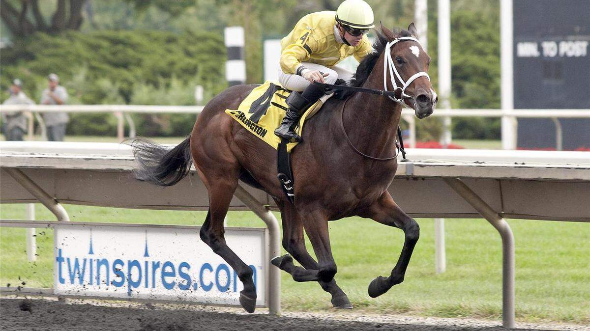 Solitary Ranger will attempt to secure a spot in this year's Breeders' Cup Juvenile when he runs in the Grade I, $400,000 Dixiana Breeders' Futurity at Keeneland on Saturday.      