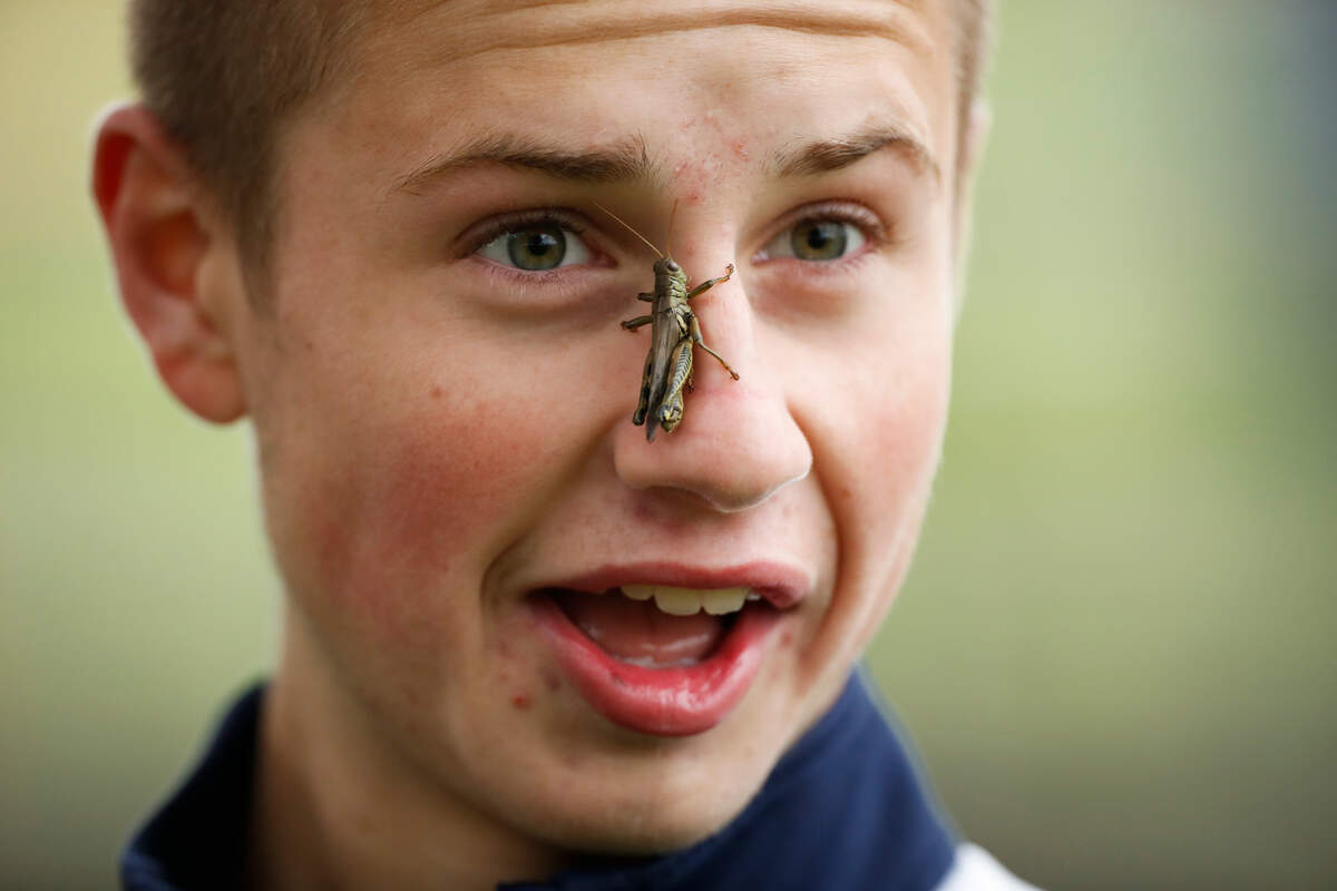 Great Crossing’s Jake Swicegood places a grasshopper on his face while joking with a friend during the Class 3A Region 6 cross country meet at Lykins Park in Winchester, Ky., Saturday, Oct. 24, 2020.