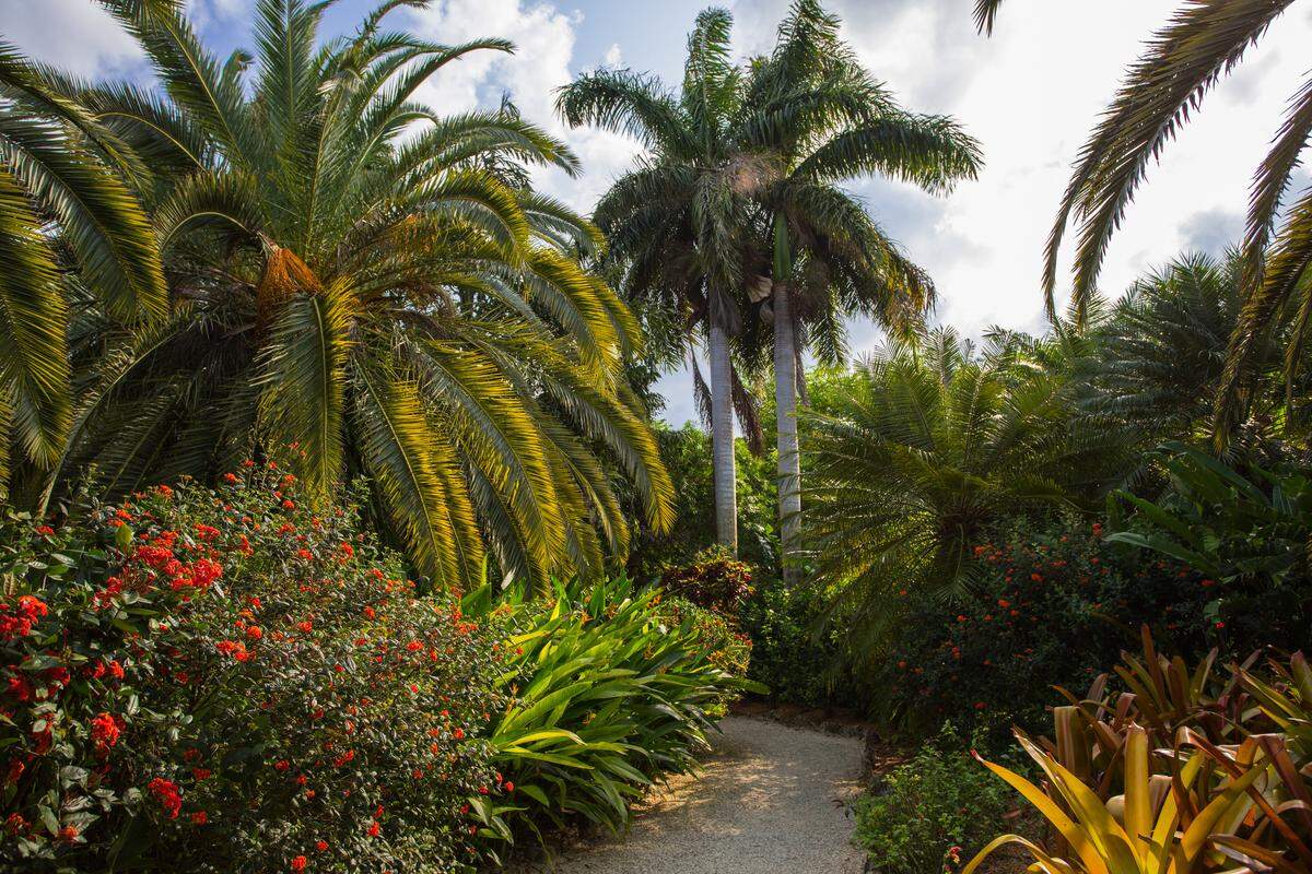Queen Elizabeth II Botanic Park.