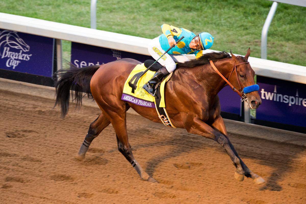 Triple Crown winner American Pharoah, with Victor Espinoza up, won the Breeders' Cup Classic at Keeneland on Oct. 31, 2015.