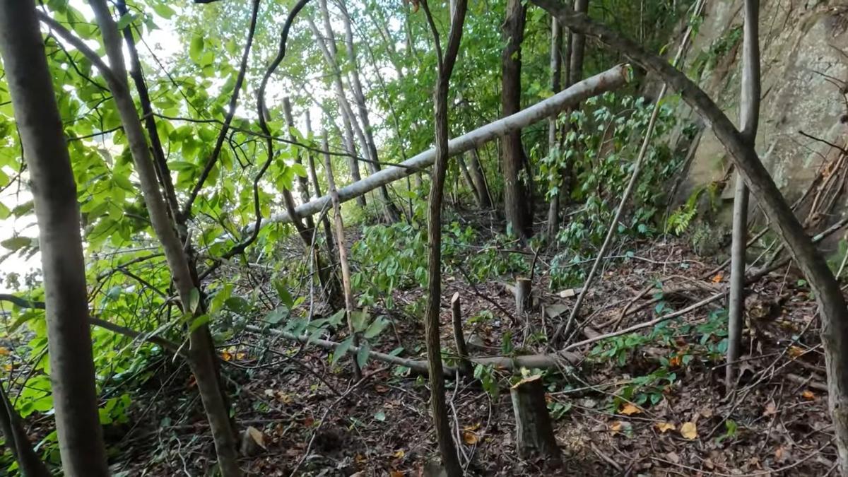 Cut trees at the bottom of a cliff’s edge where Fred and Shelia McCoy say Joseph Couch fired on 12 vehicles Sept. 7, 2024. In the video posted to their YouTube page, Fred speculates who cut the trees, Couch for a better look at the interstate or police during their investigation. The image is taken from the McCoy’s YouTube page.