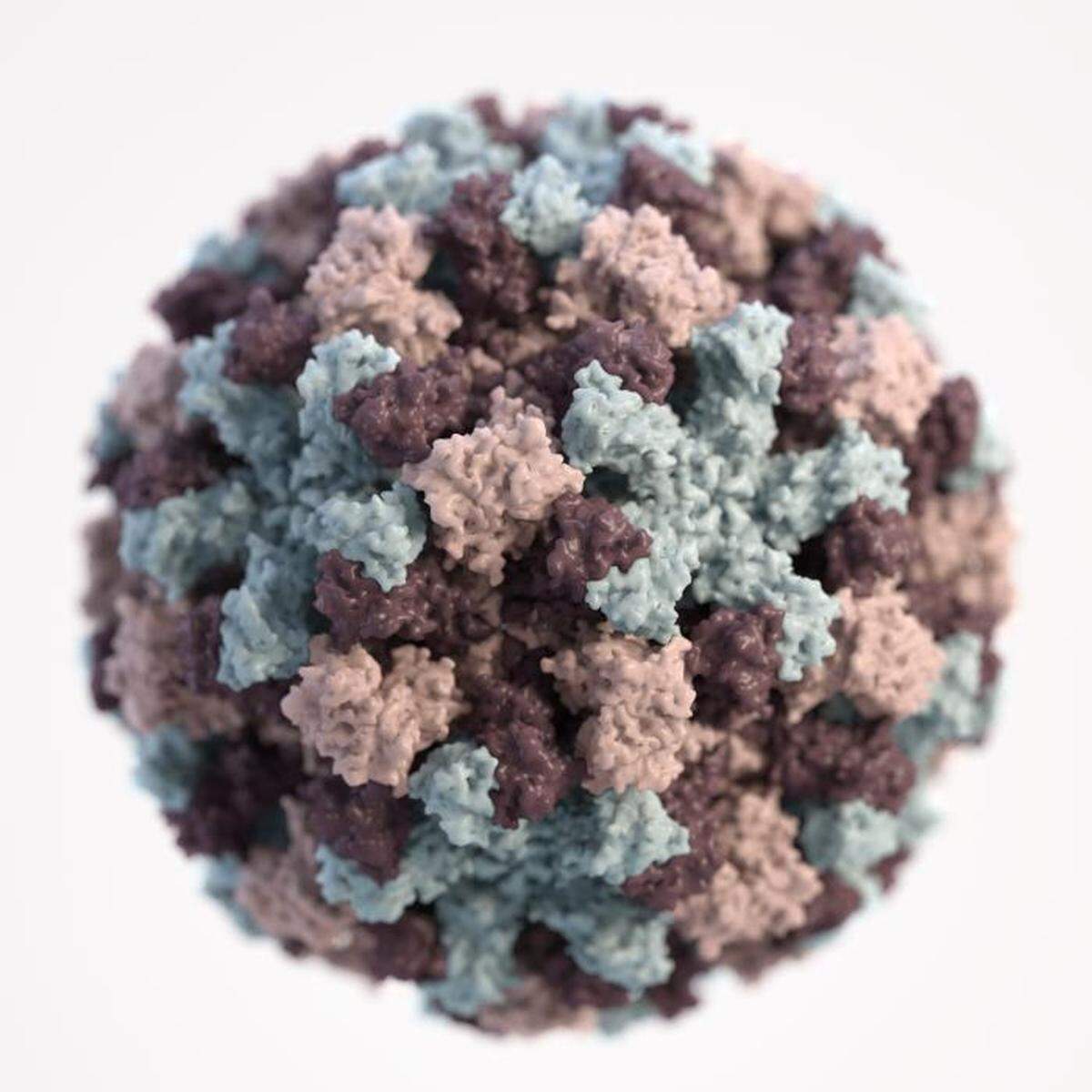 A norovirus particle is pictured in this 3D illustration by Jessica A. Allen for the U.S. Centers for Disease Control and Prevention, shared via Wikimedia Commons.