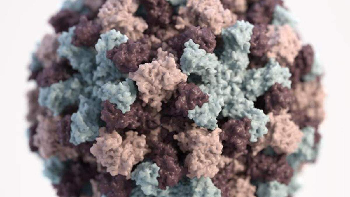 A norovirus particle is pictured in this 3D illustration by Jessica A. Allen for the U.S. Centers for Disease Control and Prevention, shared via Wikimedia Commons.