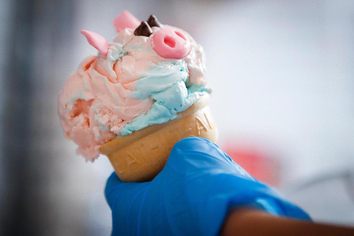 A Little Hoggy ice cream cone, made with cotton candy ice cream and decorated with a white chocolate pig nose, white chocolate ears and chocolate chips at Hoggy’s Ice Cream in Frankfort.